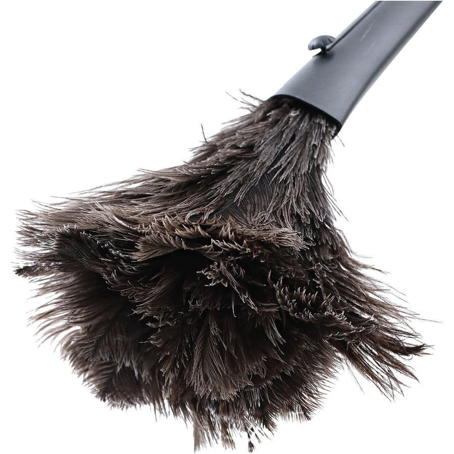 Image of Genuine Joe 90218 Retractable Feather Duster, Plastic Handle, Brown, 1 Each