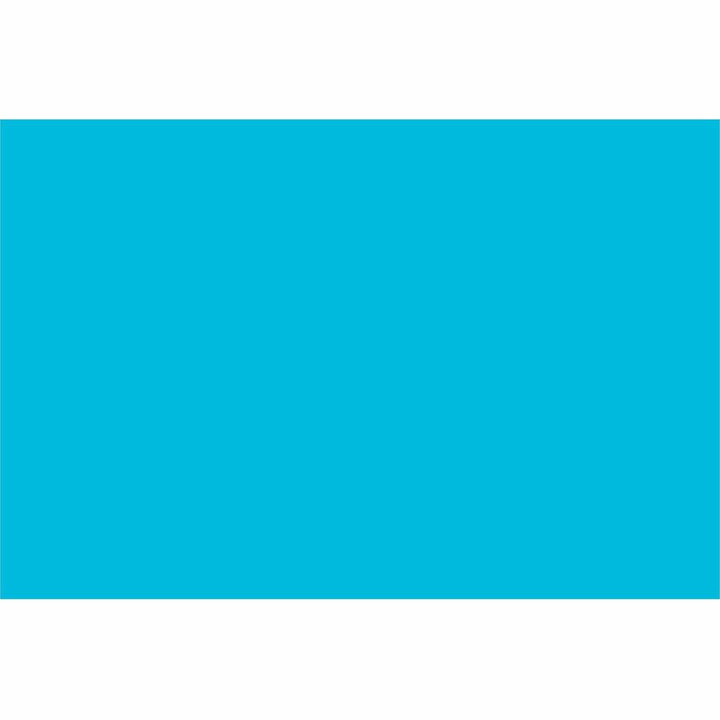 Image of Tru-Ray 103401 Construction Paper, Art Project, 18" W x 12" Length, Atomic Blue, Sulphite, 1 Pack