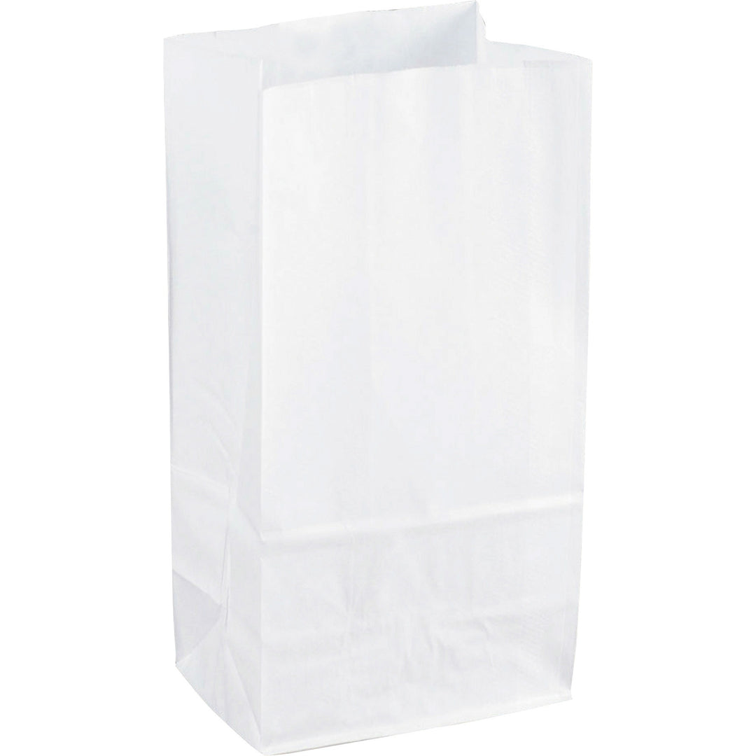 Image of Sparco Paper Bags, 6"x11", 100/PK, White
