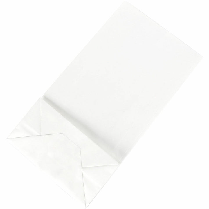 Image of Sparco Paper Bags, 6"x11", 100/PK, White
