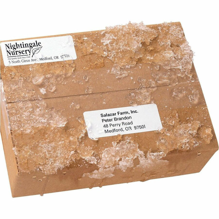 Image of Avery® Mailing Labels, Weatherproof, 1"x2-5/8", 15000/BX, WE