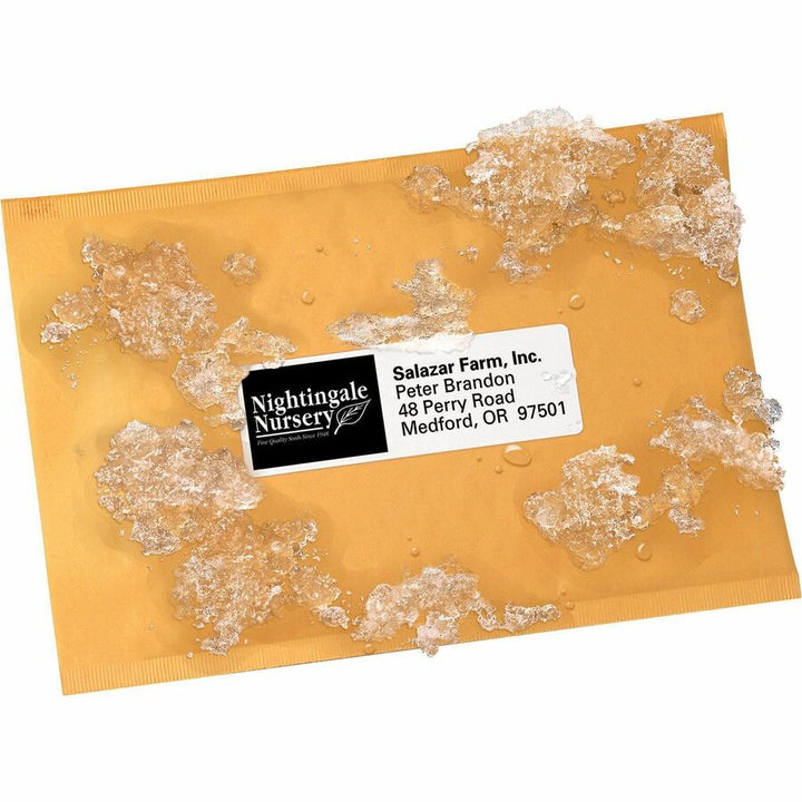 Image of Avery® Mailing Labels, Weatherproof, 1-1/3"x4", 7000/BX, WE