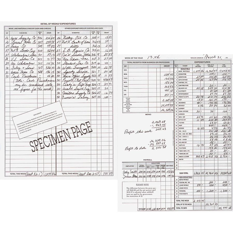 Image of Dome® Bookkeeping Record Books,Monthly,Undated, 9"x11",3/BD,Beige