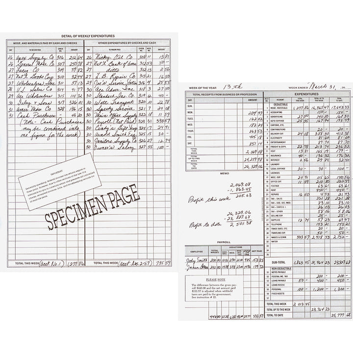 Image of Dome® Bookkeeping Record Books,Monthly,Undated, 9"x11",3/BD,Beige