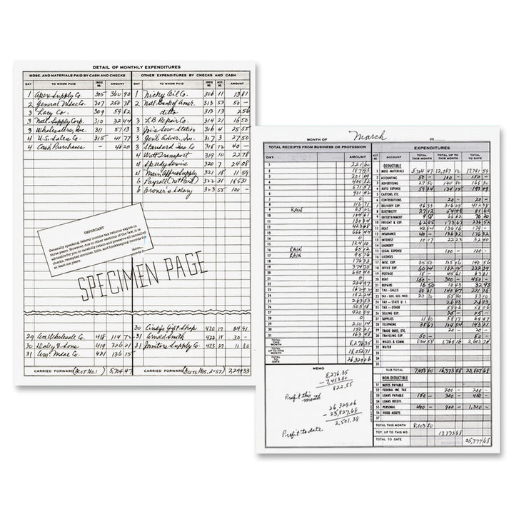 Image of Dome® Bookkeeping Record Books,Monthly,Undated,9"x11",3/BD,Beige