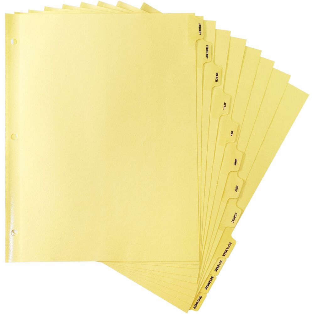Image of Business Source Indexes, Plastic Tabs, Mthly, 3HP, 8-1/2"x11",12/ST, Buff
