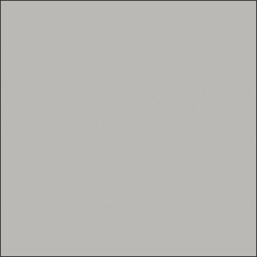 Image of Special-T Tabletop, Rectangle, 24"Wx72"Lx1"H, Gray