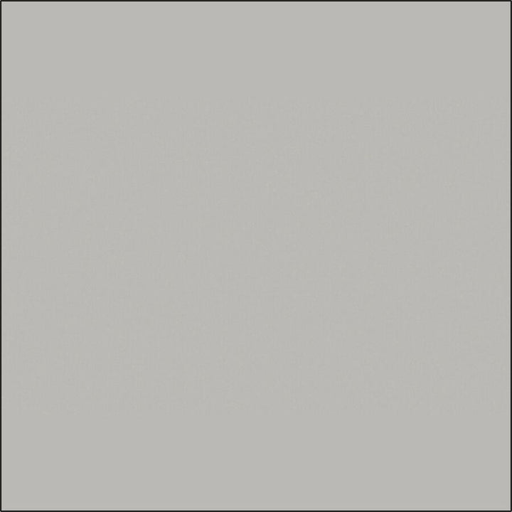 Image of Special-T Tabletop, Rectangle, 24"Wx72"Lx1"H, Gray
