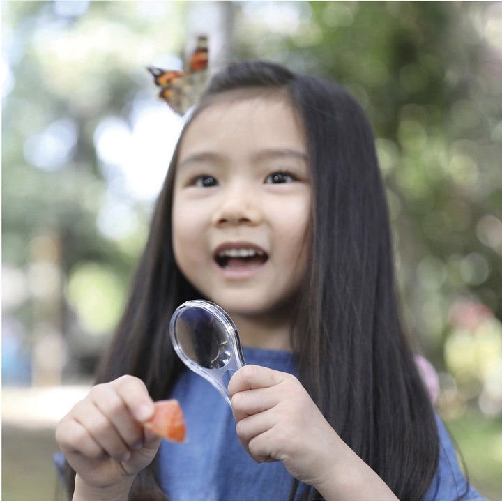 Image of Educational Insights Inc Butterfly Bungalow, 9-2/5"Wx11-3/5"Lx2-1/2"H, Multi
