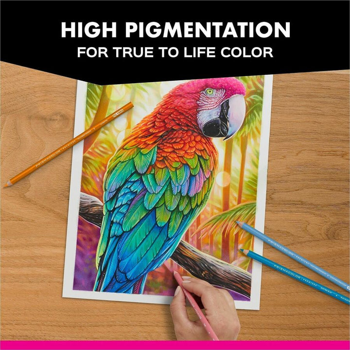 Image of Prismacolor 2023752 Under Sea Coloured Pencil Set, 12 / Pack