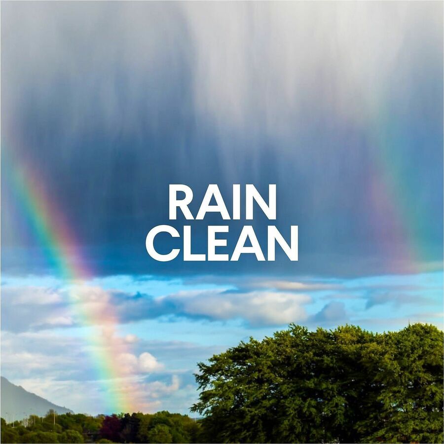 Image of Clorox 30197 Clean-Up Multi-Surface Cleaner with Bleach