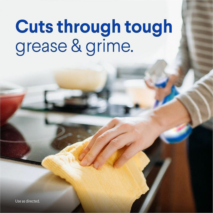 Image of Clorox 30197 Clean-Up Multi-Surface Cleaner with Bleach