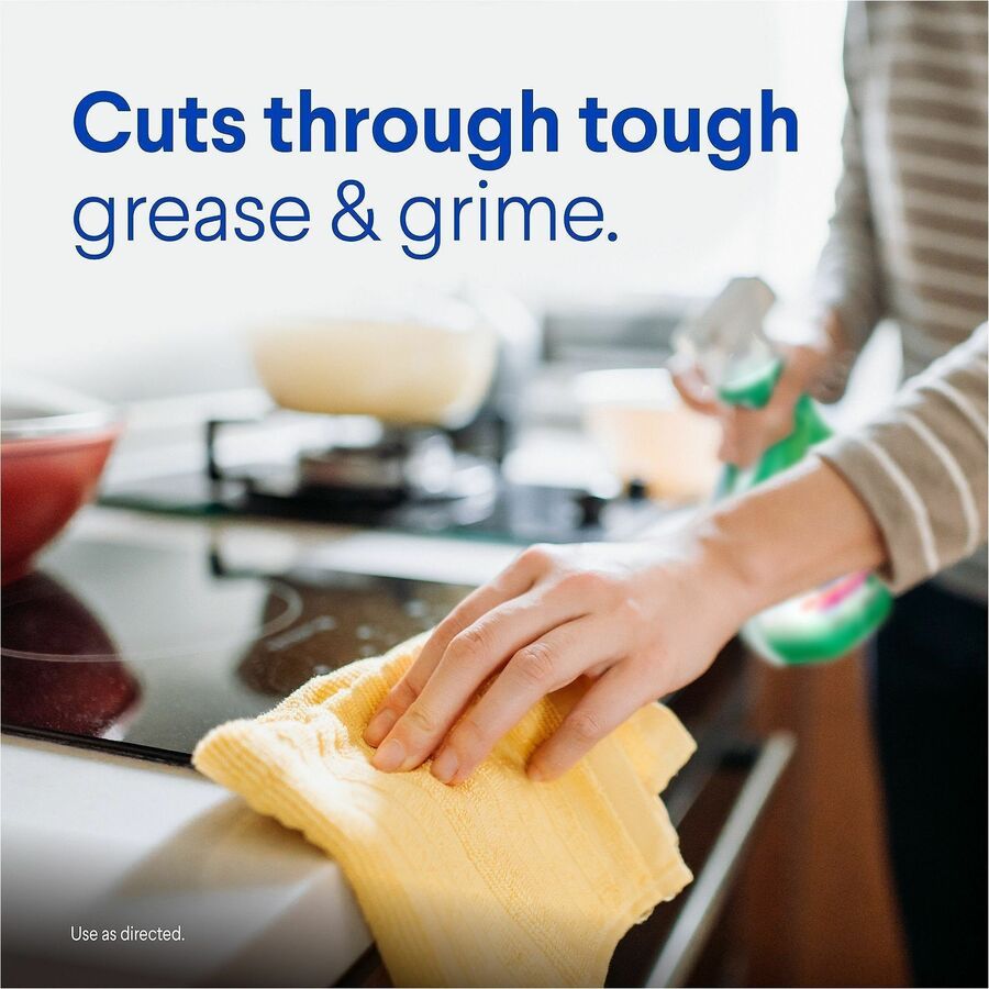 Image of Clorox 31221 Clean-Up Multi-Surface Cleaner with Bleach
