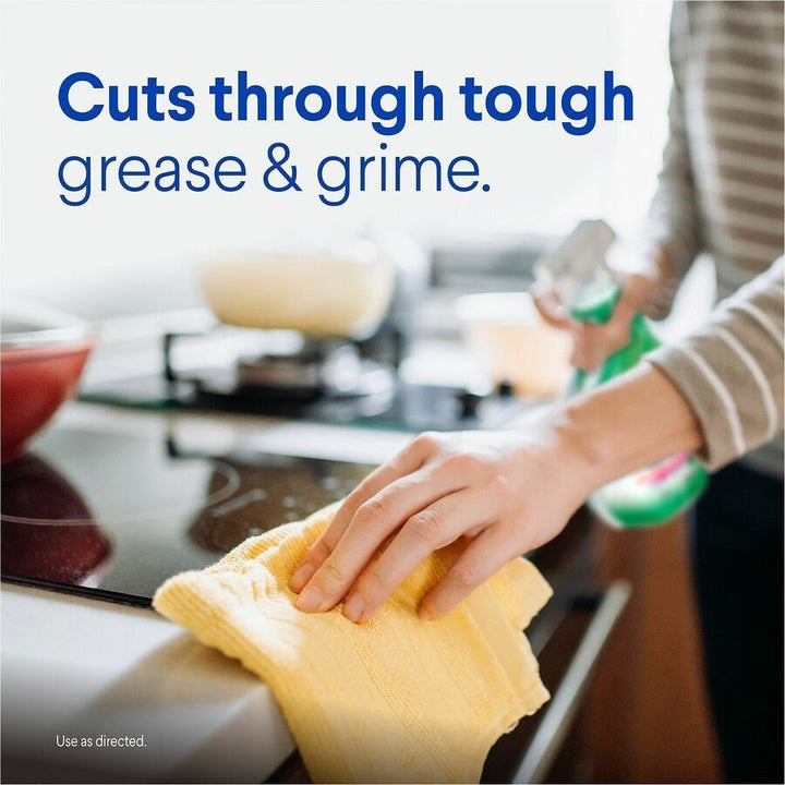 Image of Clorox 31221 Clean-Up Multi-Surface Cleaner with Bleach