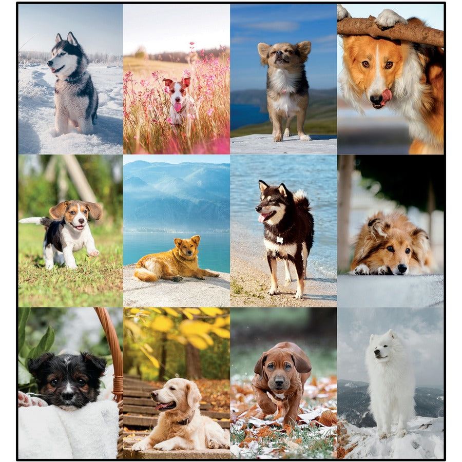 Image of Blueline Furry Collection C194116 Man's Best Friend Dogs Desk Pad Calendar