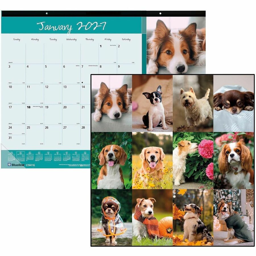 Image of Blueline Furry Collection C194116 Man's Best Friend Dogs Desk Pad Calendar