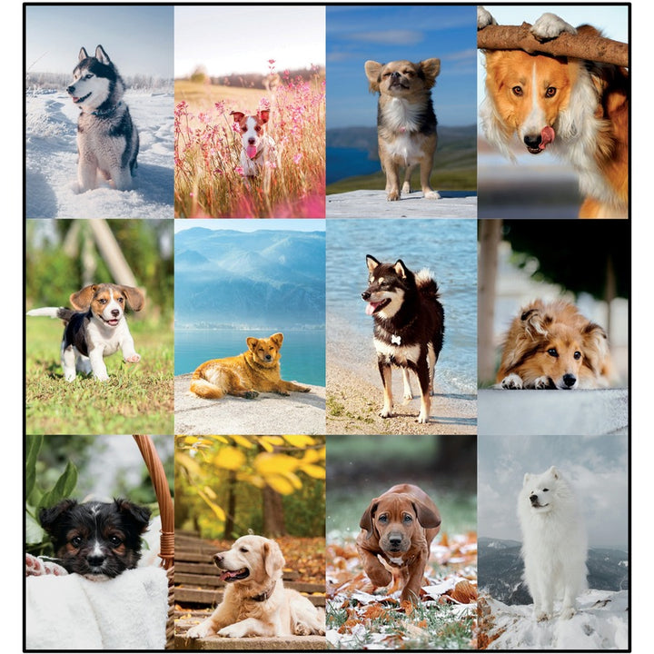 Image of Blueline® Pets Collection Monthly Desk Pad, Puppies Photography, 22 x 17, Black Binding, Clear Corners, 12-Month (Jan to Dec): 2025