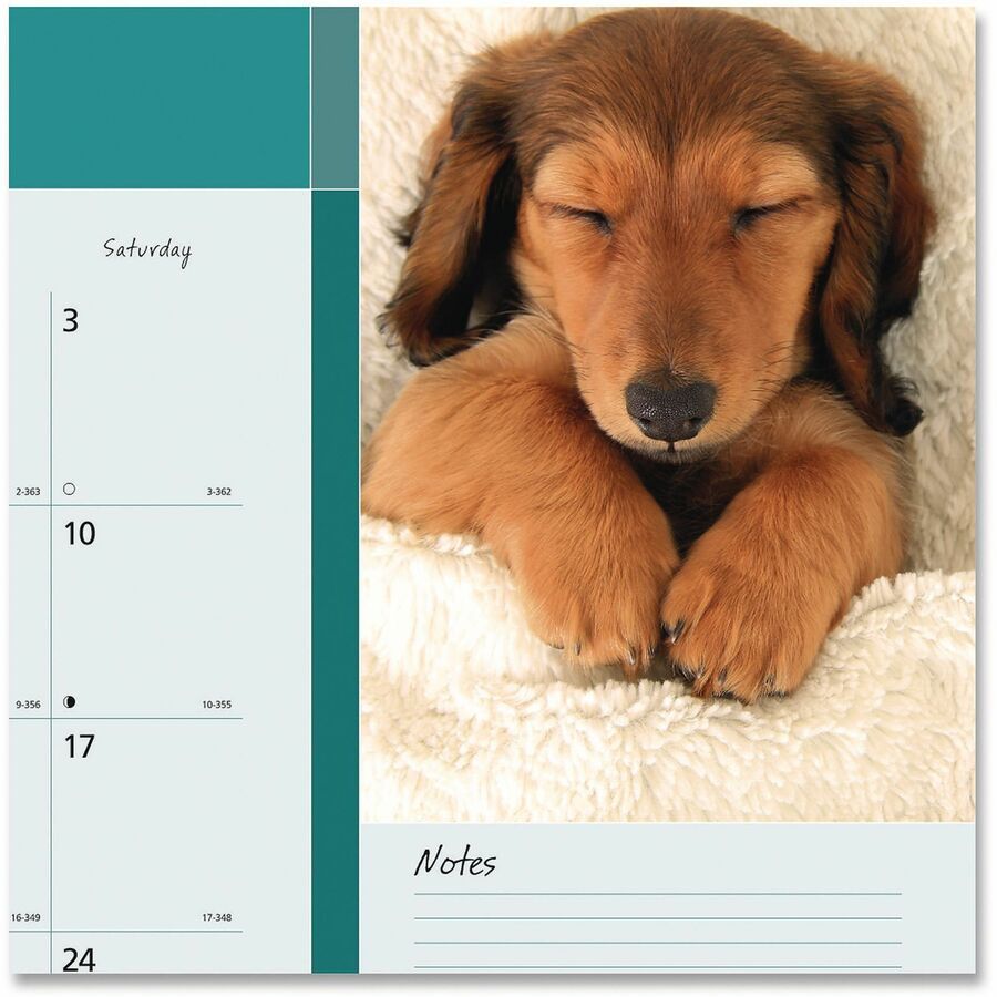 Image of Blueline® Pets Collection Monthly Desk Pad, Puppies Photography, 22 x 17, Black Binding, Clear Corners, 12-Month (Jan to Dec): 2025