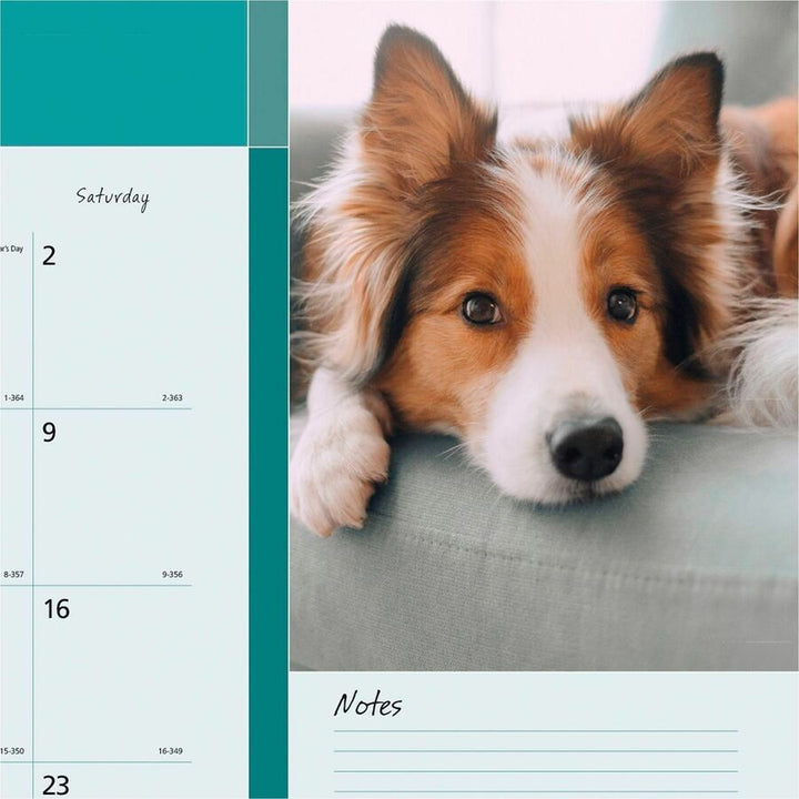 Image of Blueline Furry Collection C194116 Man's Best Friend Dogs Desk Pad Calendar