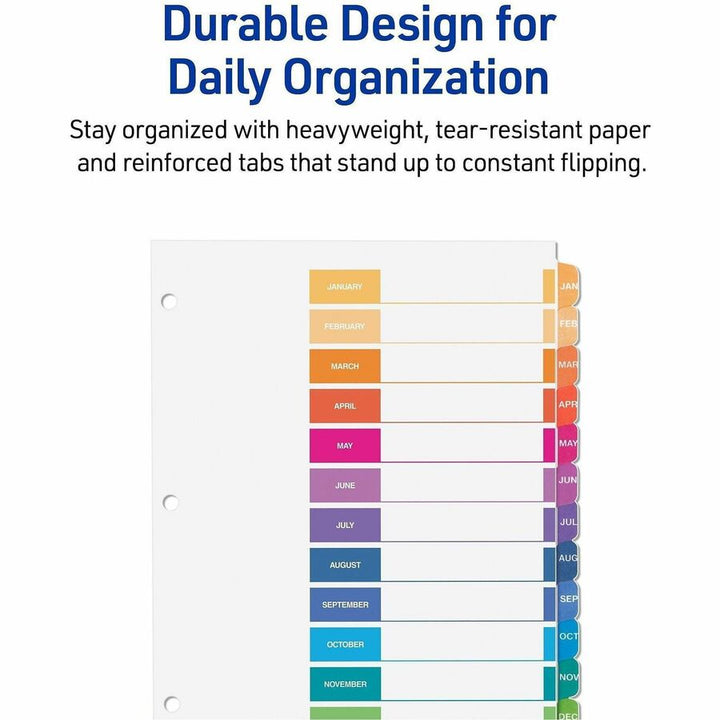Image of Avery Jan-Dec Dividers, 12 Tabs, Ready Index (6 Sets of 11830)