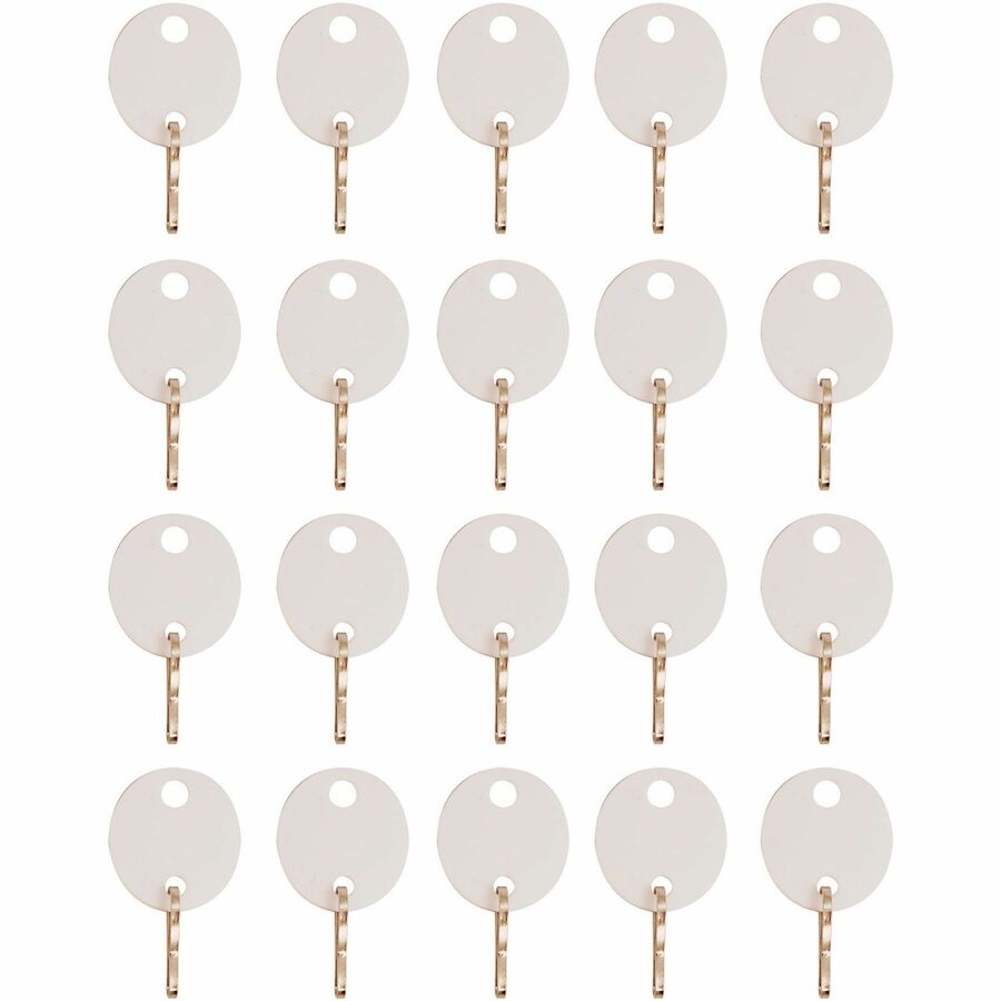Image of Sparco Key Tag, Oval, Plastic, 1-1/10"Wx3/4"Lx3-1/2"H, 20/PK, WE