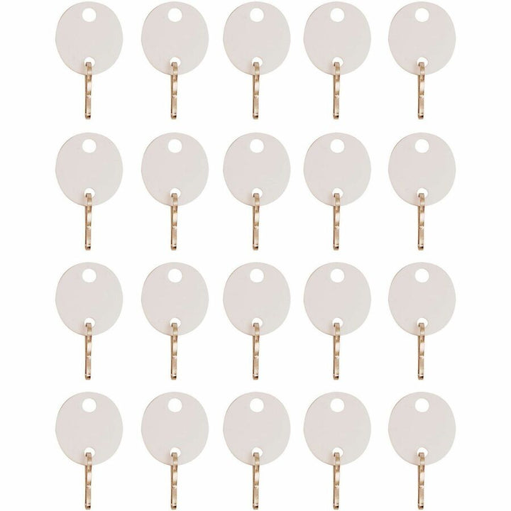 Image of Sparco Key Tag, Oval, Plastic, 1-1/10"Wx3/4"Lx3-1/2"H, 20/PK, WE