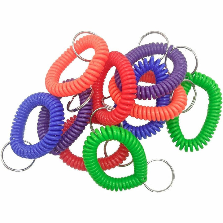 Image of Sparco Key Holder, Coil, 2-1/10"Wx2-2/5"Lx2-1/10"H, 10/PK, Assorted