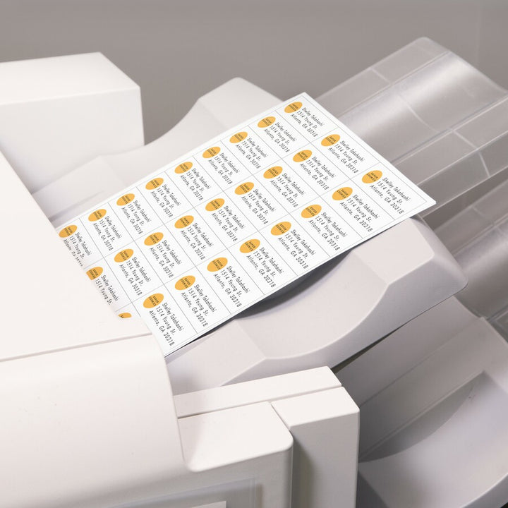 Image of Avery® 05334 Address Label
