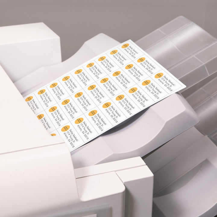 Image of Avery® 05334 Address Label