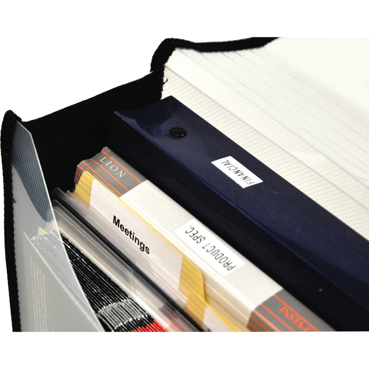 Image of Lion File Wallet, Band/Button, 16"Wx10"H, Clear