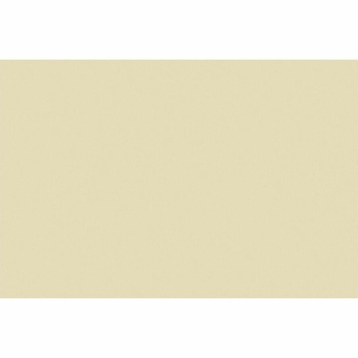 Image of Pacon® Construction Paper, 76 lb, 12"x18", 50/PK, Ivory