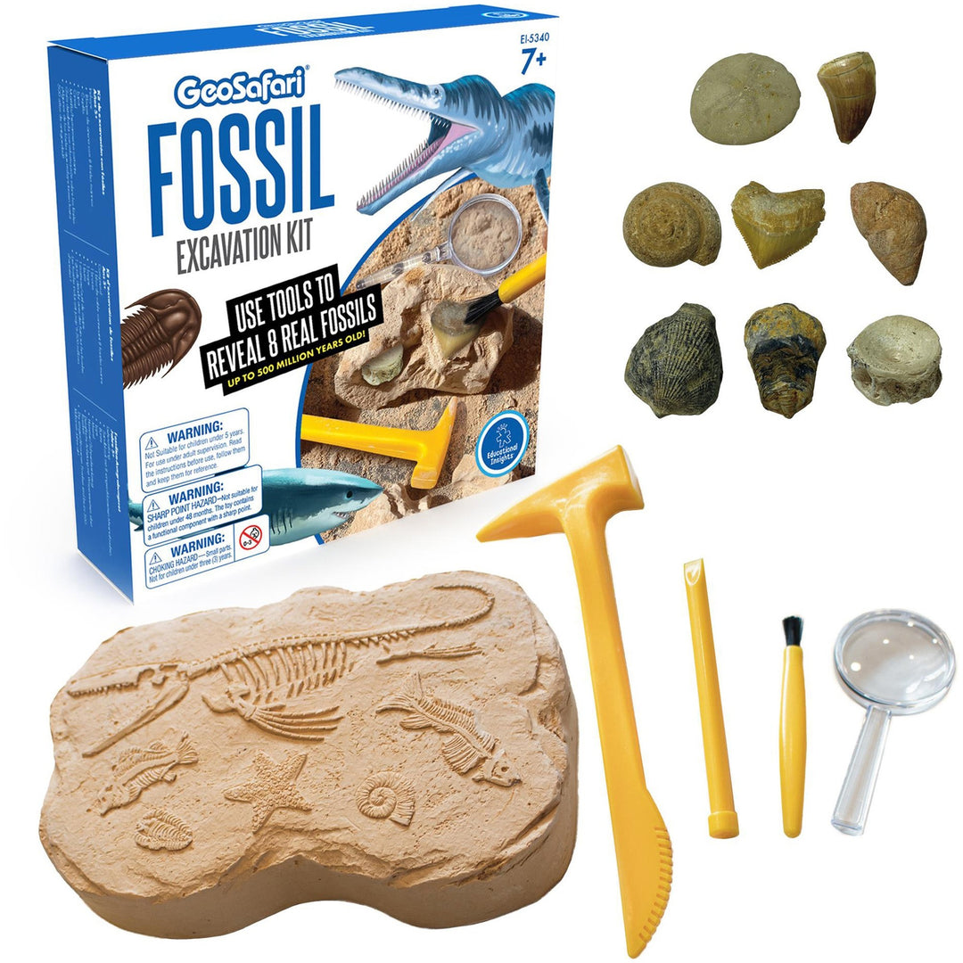Image of GeoSafari 5340 Fossil Excavation Kit, Theme/Subject: Fun, Skill Learning: Paleontology, STEM, Fossil, 7-12 Year, 1 Each
