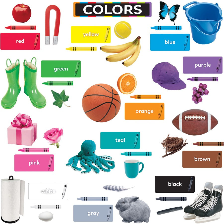 Image of Trend T19005 Colors All Around Us Learning Set, Learning Theme/Subject, Durable, Reusable, Sturdy, Multi, 1 Each