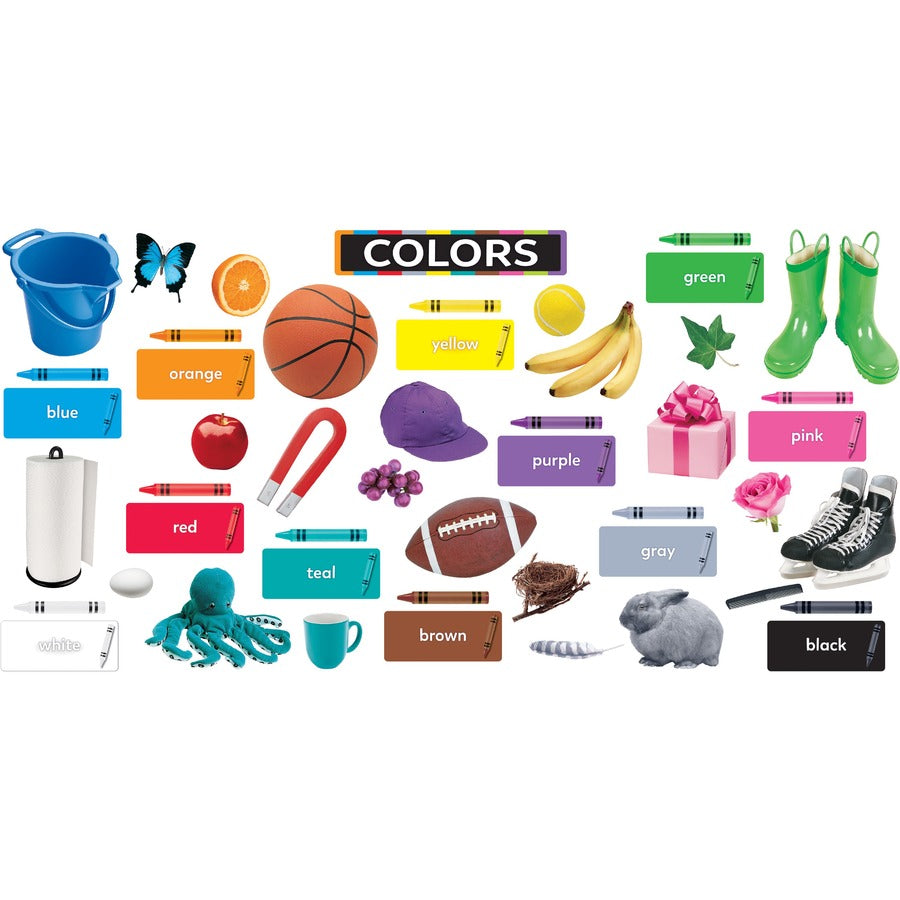 Image of Trend T19005 Colors All Around Us Learning Set, Learning Theme/Subject, Durable, Reusable, Sturdy, Multi, 1 Each