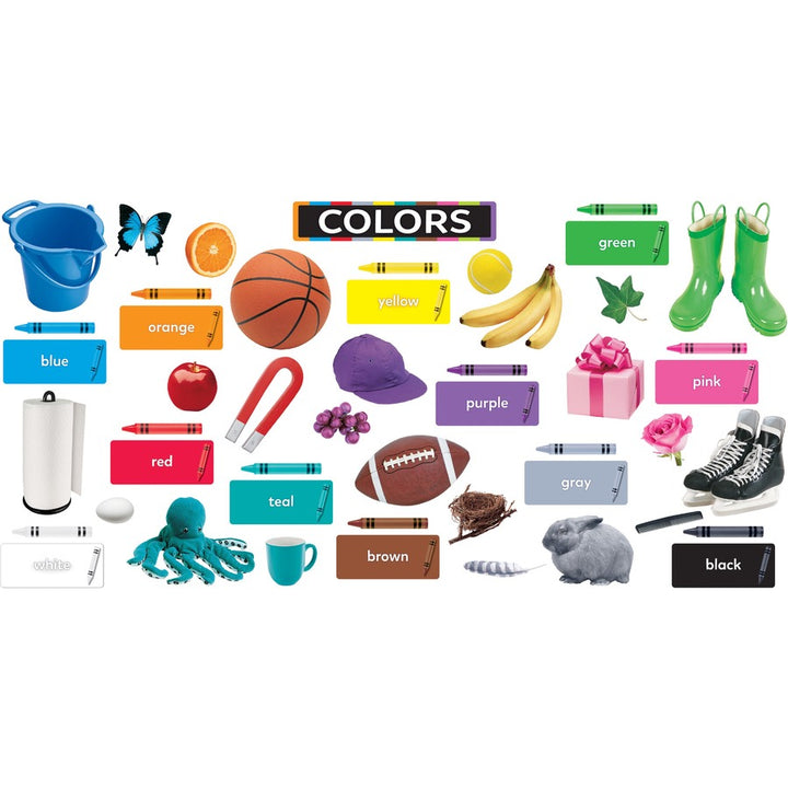 Image of Trend T19005 Colors All Around Us Learning Set, Learning Theme/Subject, Durable, Reusable, Sturdy, Multi, 1 Each