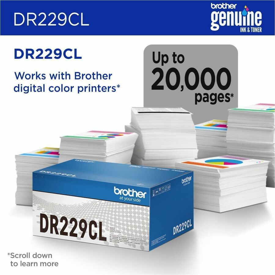 Image of Brother DR229CL Drum Unit, Laser Print Technology, 20000 Pages, 1 Each