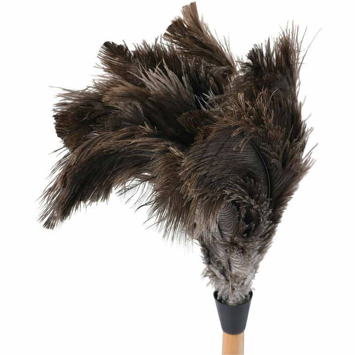 Image of Tatco Duster,Ostrich Feather,Wood Handle,12" Handle,23"L,BN