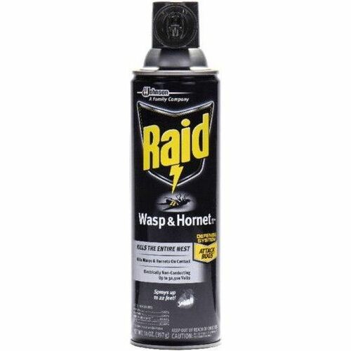Image of Raid 377651 Wasp and Hornet Killer 33, Spray, Kills Wasp, Hornet, Mud Dauber, Yellow Jacket, 14 fl oz, White, 1 Each