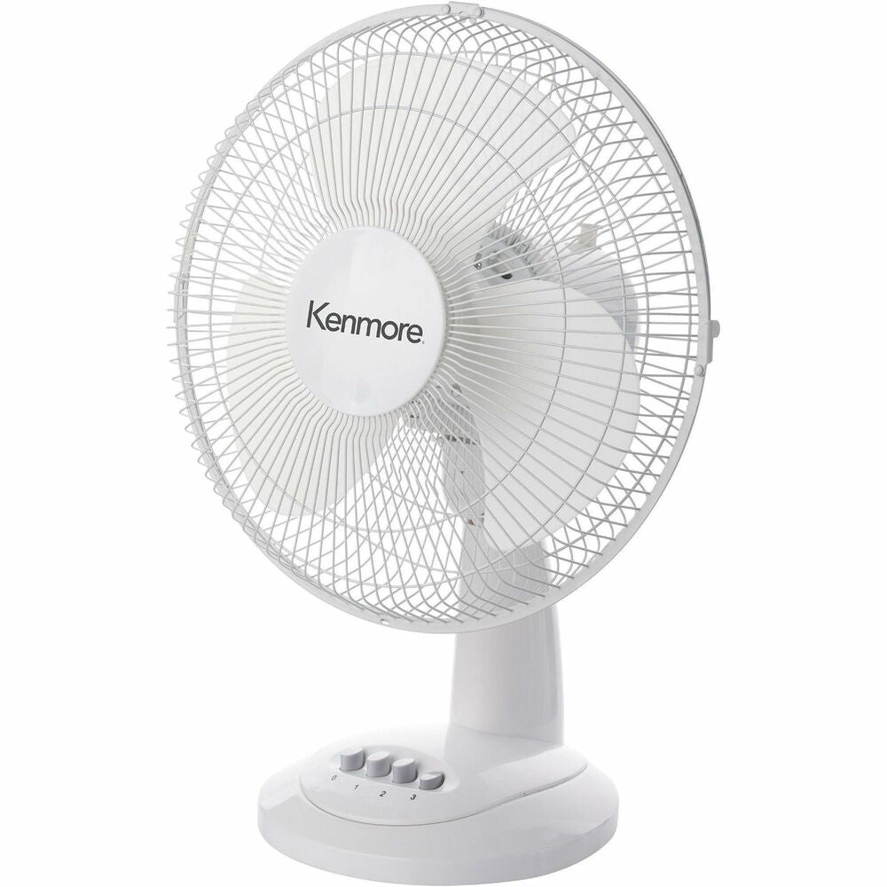 Image of ESM Fan,Desk,Oscillating,3 Speeds,12",WE