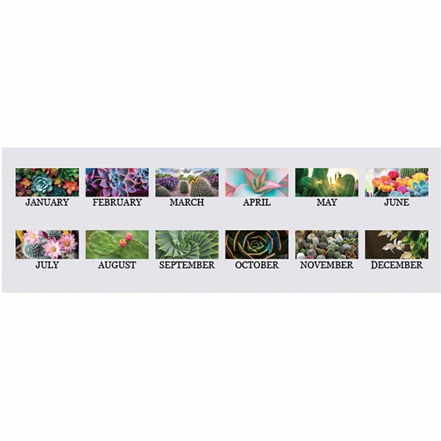 Image of House of Doolittle 317 Recycled Succulent & Cacti Wall Calendar