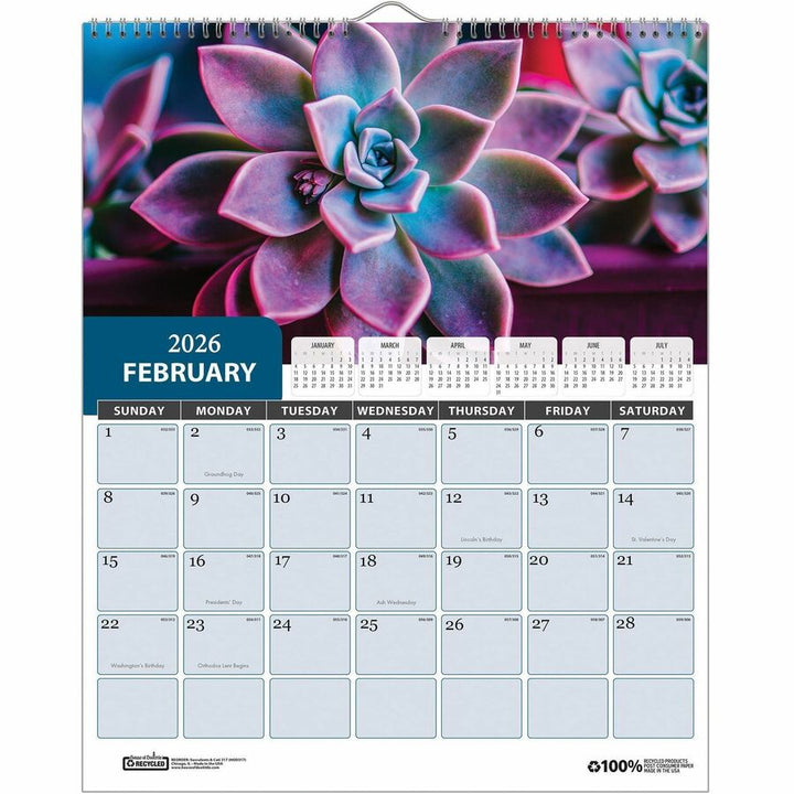 Image of House of Doolittle 317 Recycled Succulent & Cacti Wall Calendar