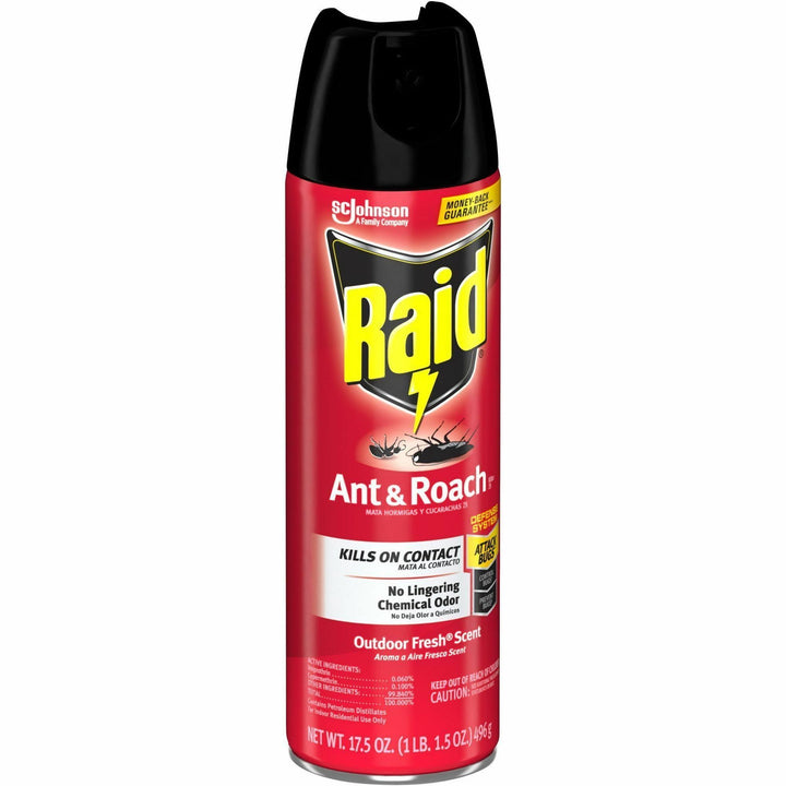 Image of Raid 386220CT Ant & Roach Killer Spray