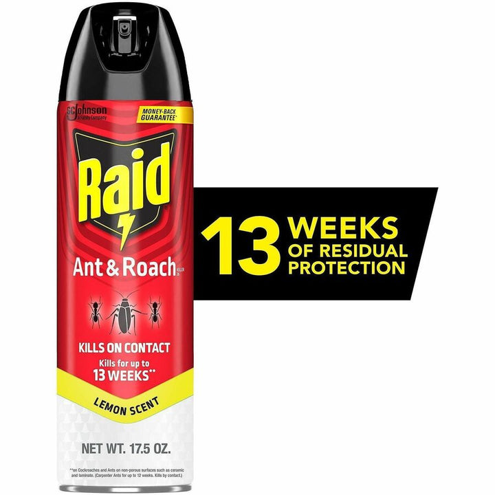 Image of Raid 386214 Ant & Roach Killer Spray
