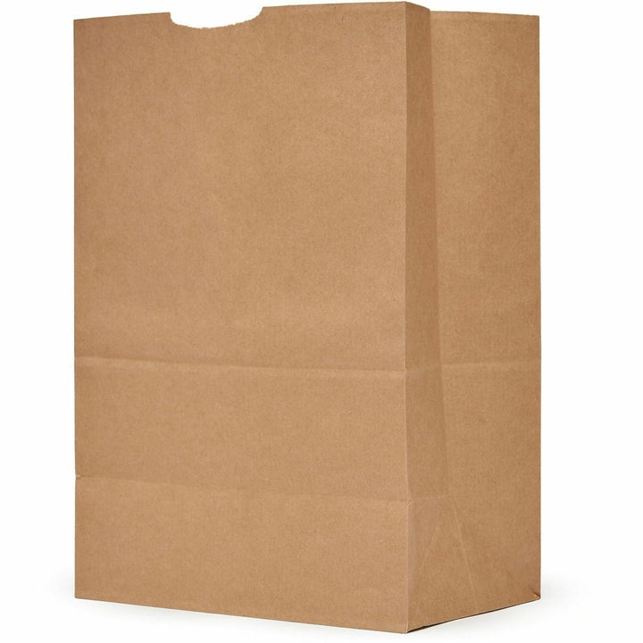 Image of AJM GS52NP5CES 1/6 BBL #52 Kraft Paper Grocery Sacks, #52, 6.72 gal Capacity, Natural Kraft, Paper, Foodservice, Grocery, Supplies, 500 / Carton