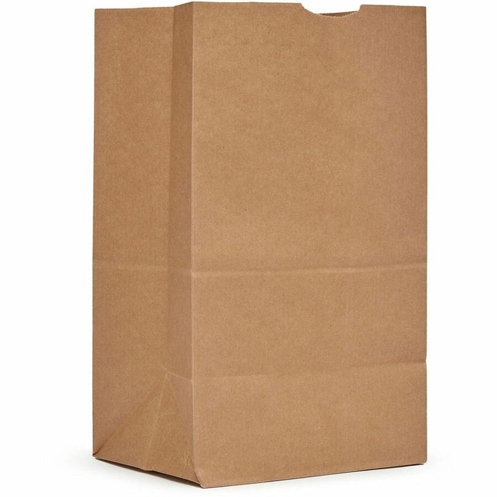 Image of AJM SQ40NP5CES #20 Squat Kraft Paper Grocery Bags, #20, Natural Kraft, Paper, Grocery, Supplies, Recycled, 500 / Carton