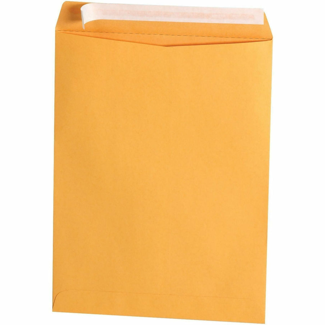 Image of Business Source 40102 Kraft Peel-and-Stick Catalog Envelopes, Catalog, 9" W x 12" Length, Peel & Stick, Brown, Kraft Paper, 100 / Box