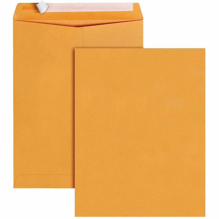 Image of Business Source 40099 Kraft Peel-and-Stick Catalog Envelopes, Catalog, 10" W x 13" Length, Peel & Stick, Brown, Kraft Paper, 100 / Box