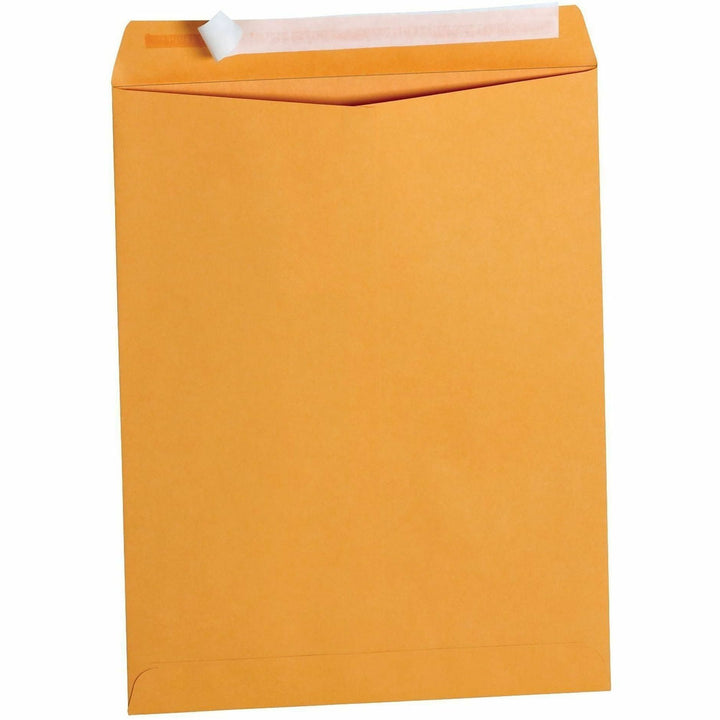 Image of Business Source 40099 Kraft Peel-and-Stick Catalog Envelopes, Catalog, 10" W x 13" Length, Peel & Stick, Brown, Kraft Paper, 100 / Box