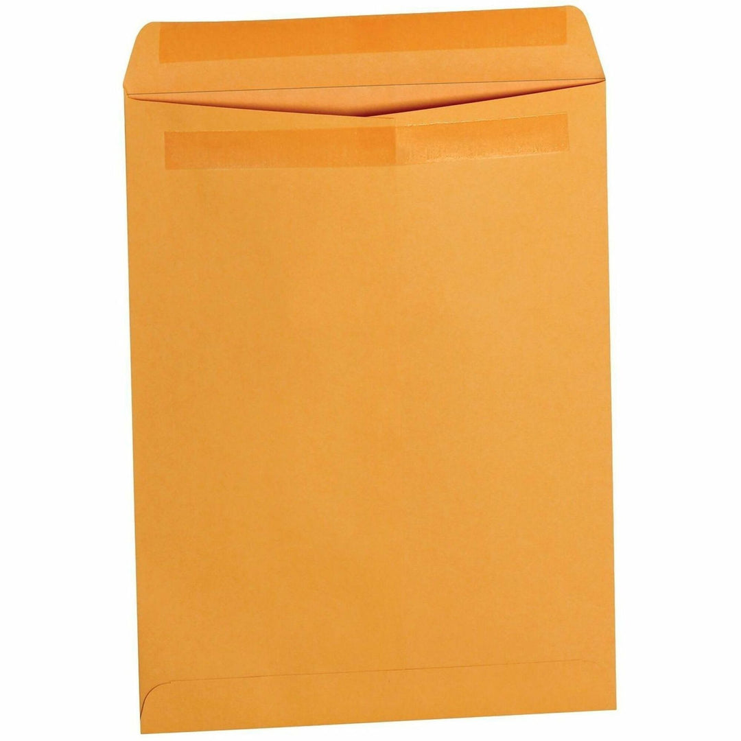 Image of Business Source 35290 Self-Seal Catalog Envelopes, Catalog, #28, 9" W x 12" Length, Self-adhesive Seal, Kraft, Kraft Paper, 250 / Box