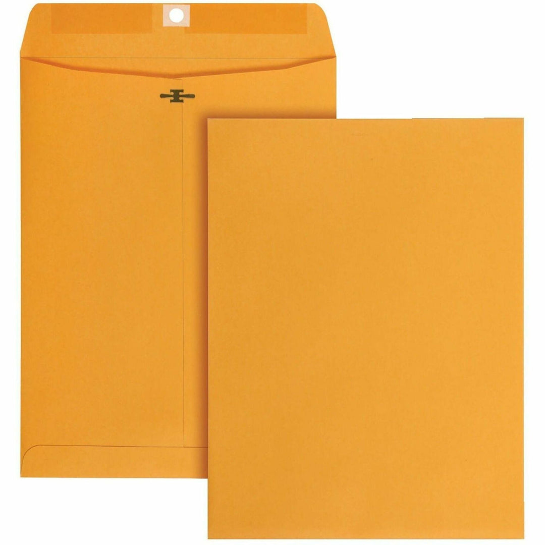 Image of Business Source 35269 Self-Seal Catalog Envelopes, Catalog, 9" W x 12" Length, Self-adhesive Seal, Kraft, Kraft Paper, 250 / Carton